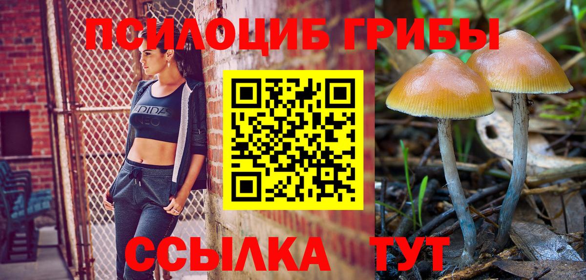 Псилоцибиновые грибы мухоморы Казань